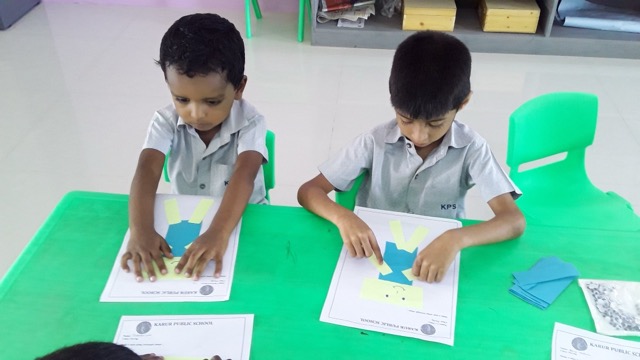 Rectangle Activity - Activities 2022