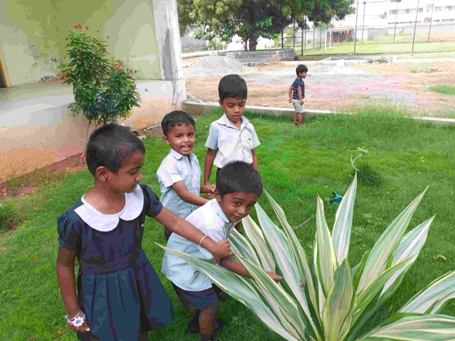 Insects - Activities 2022