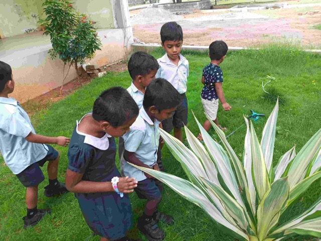 Insects - Activities 2022