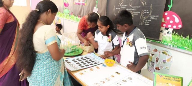 SCIENCE EXPO - Activities 2023