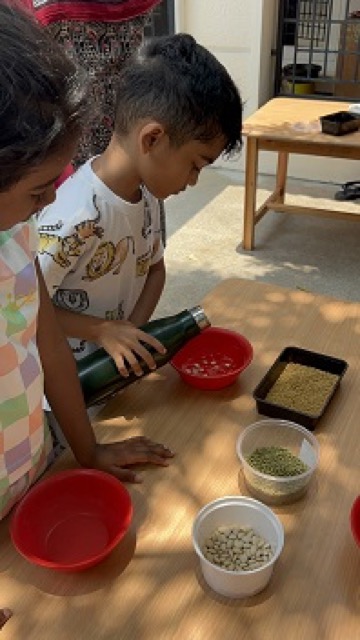 Summer Camp Day 2 - Activities 2024