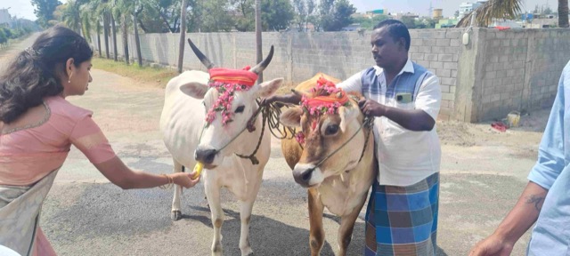 Pongal Celebration - Events 2022
