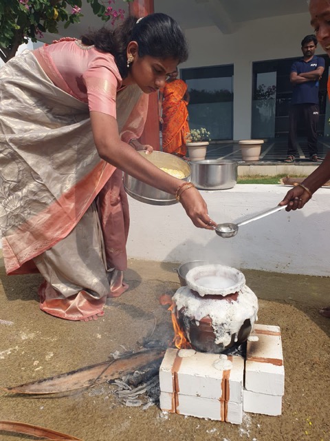Pongal Celebration - Events 2022
